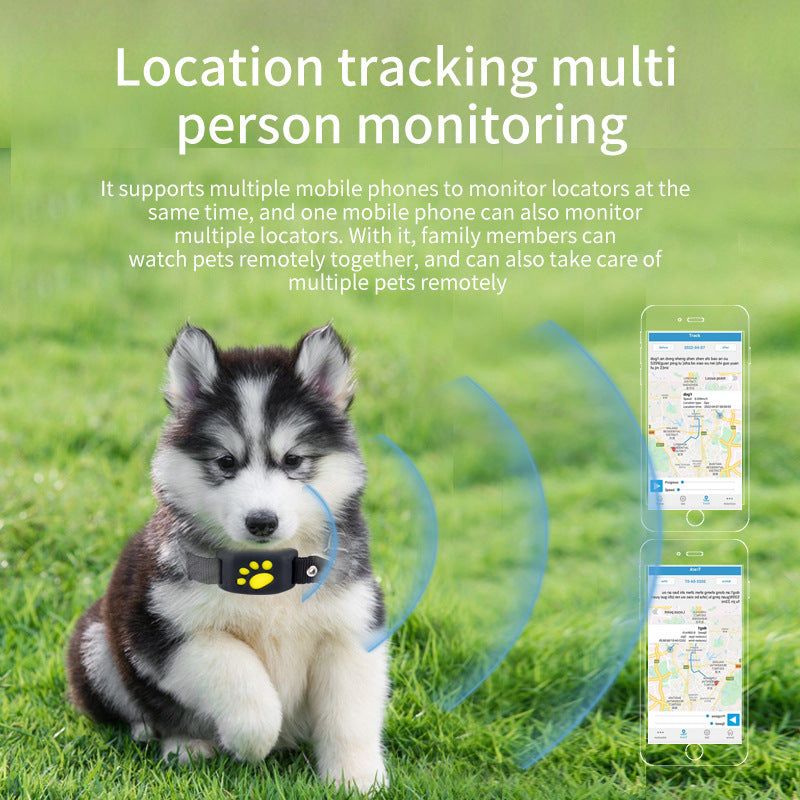 Track Your Pet Anytime with This Waterproof GPS Collar