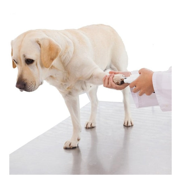 Rechargeable Nail Grinder for Stress-Free Pet Grooming