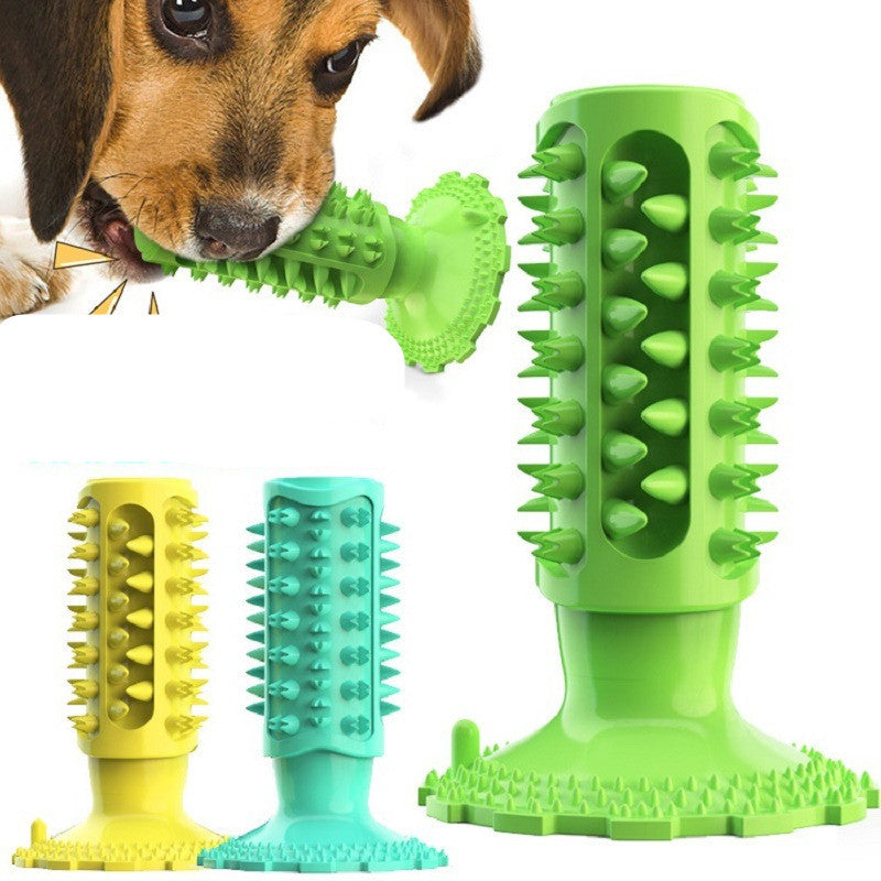 Toothbrush Chew Toy for Cleaner, Happier Smiles