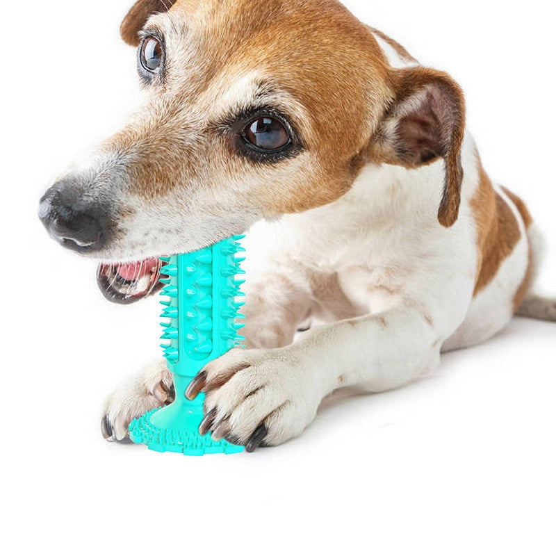 Toothbrush Chew Toy for Cleaner, Happier Smiles