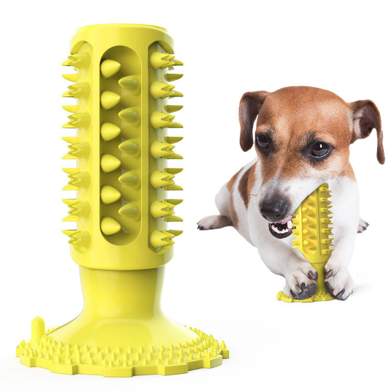 Toothbrush Chew Toy for Cleaner, Happier Smiles