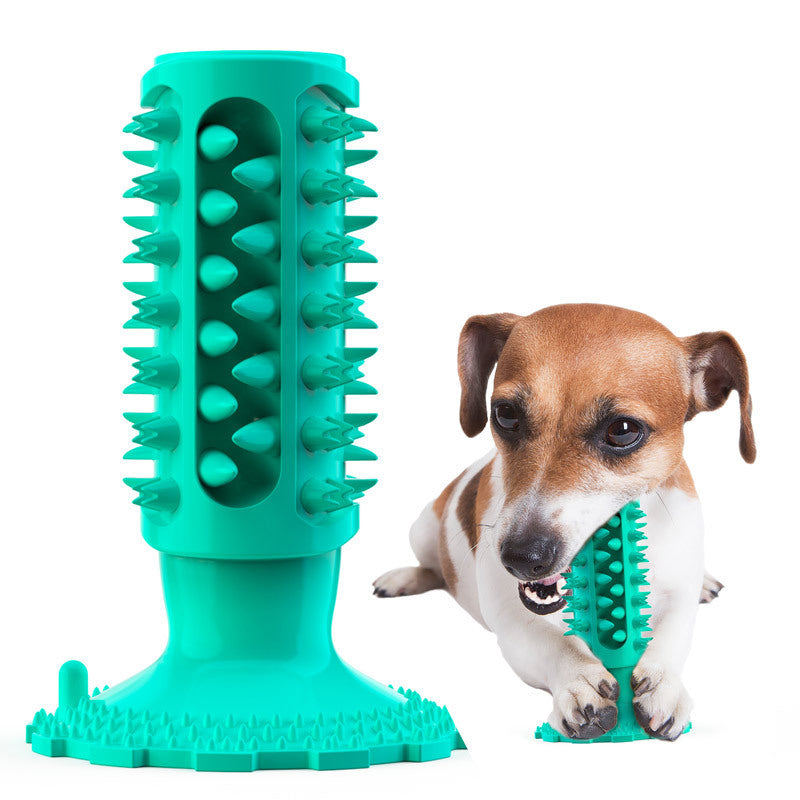 Toothbrush Chew Toy for Cleaner, Happier Smiles