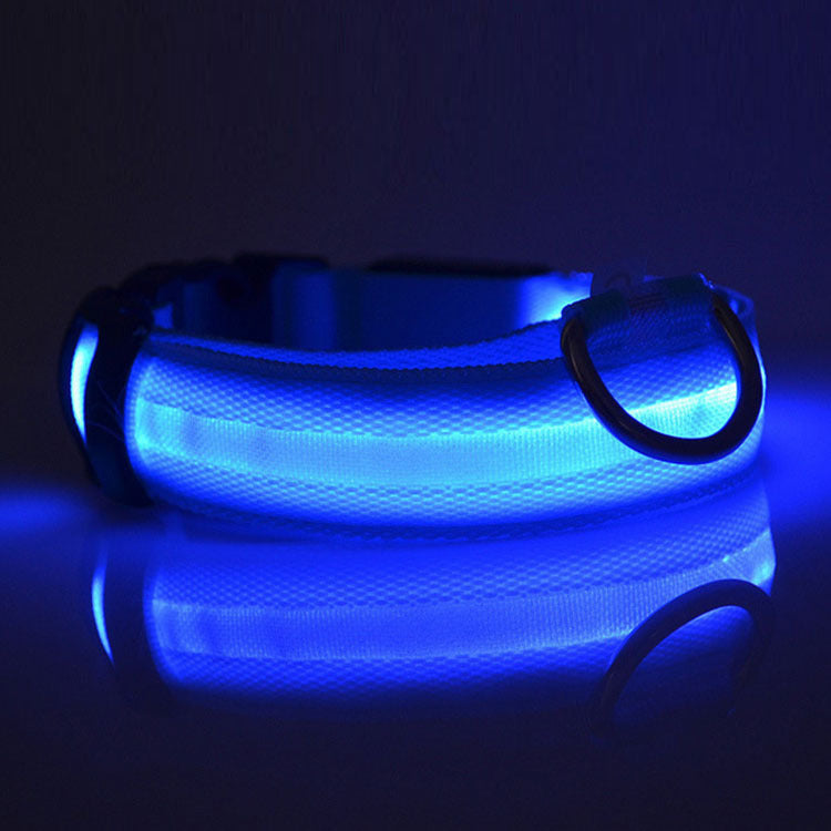 Keep Your Dog Safe and Seen at Night