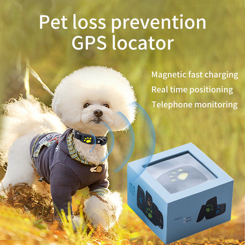 Track Your Pet Anytime with This Waterproof GPS Collar