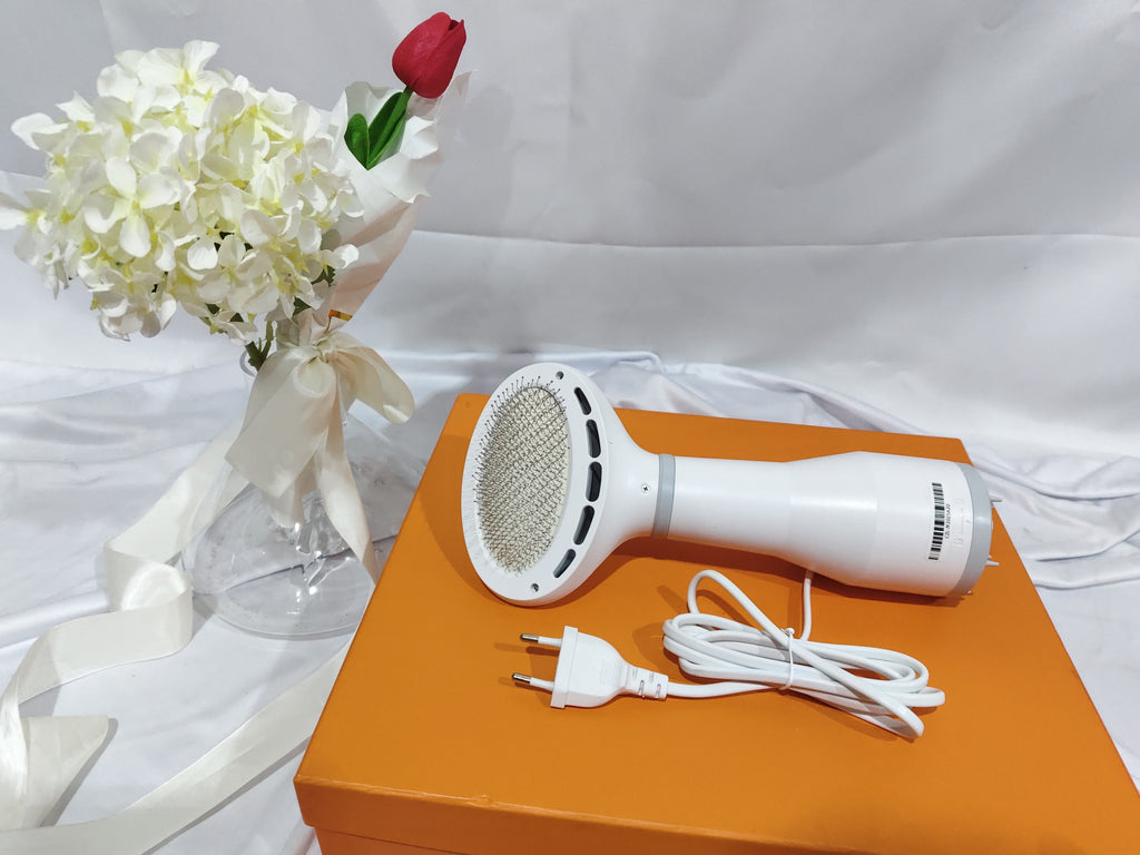 2-in-1 Pet Dryer and Brush for Fluffy Coats