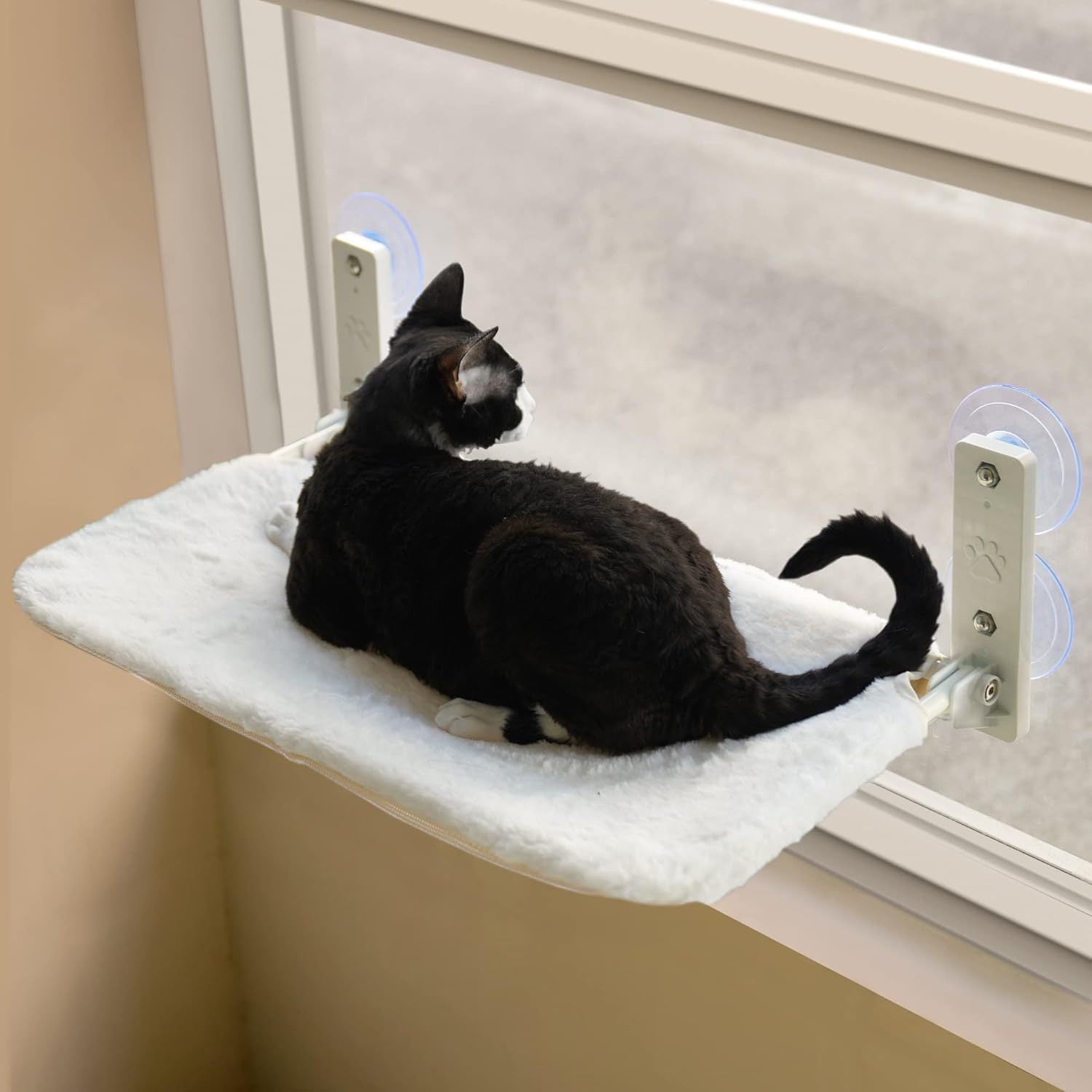 Sturdy Cat Window Lounge for Naps and Views