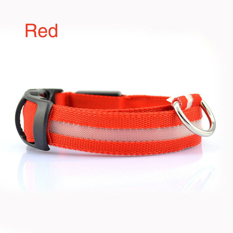 Keep Your Dog Safe and Seen at Night