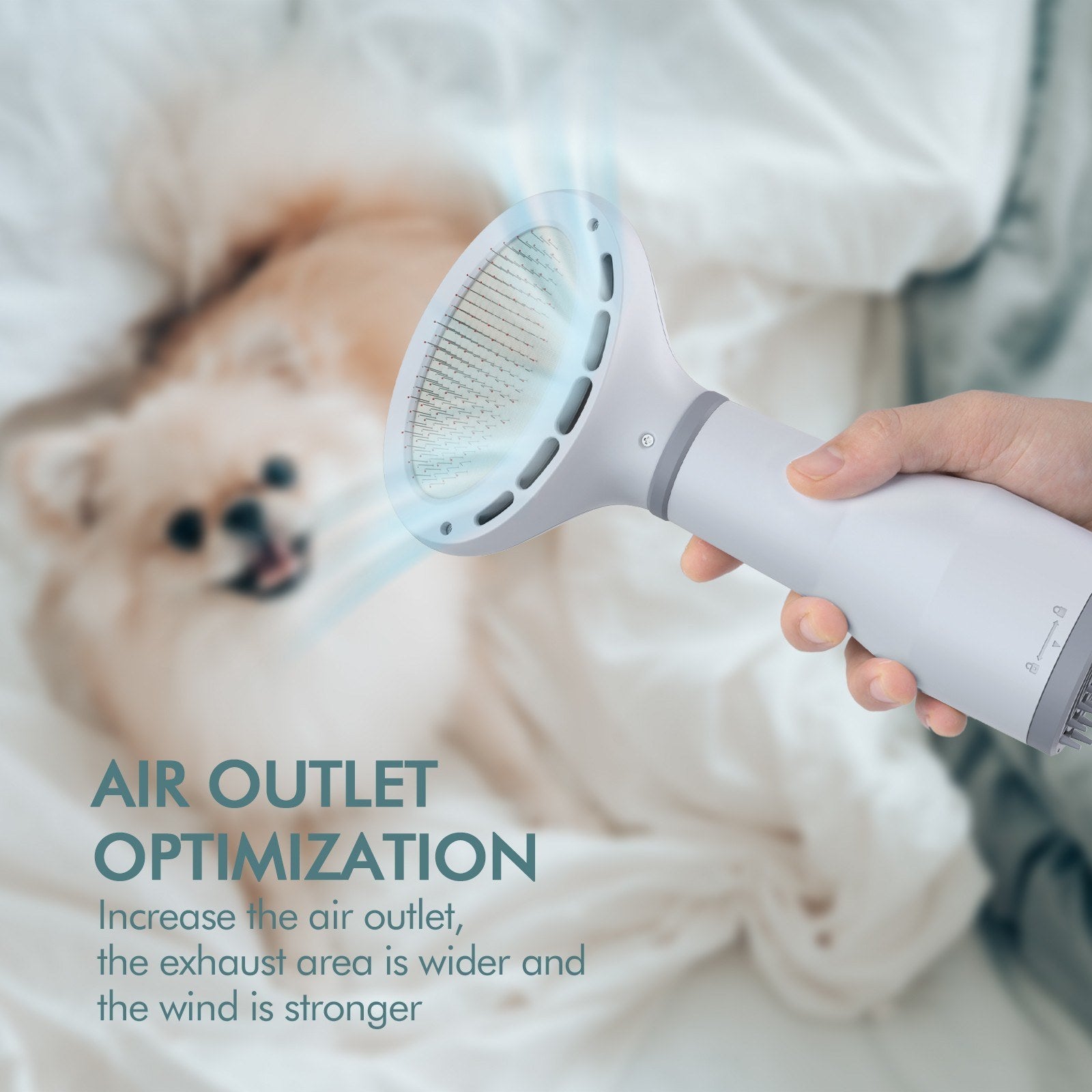 2-in-1 Pet Dryer and Brush for Fluffy Coats
