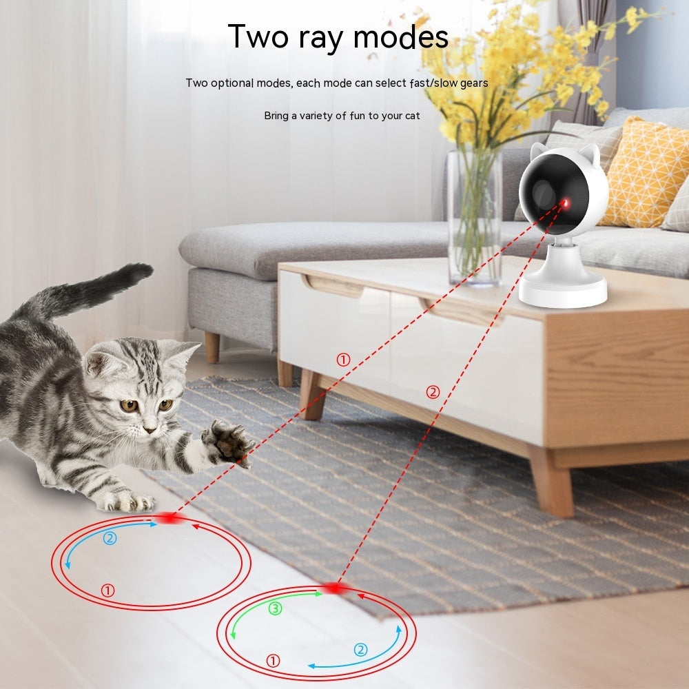 Interactive Laser Fun for Curious Cats Everywhere