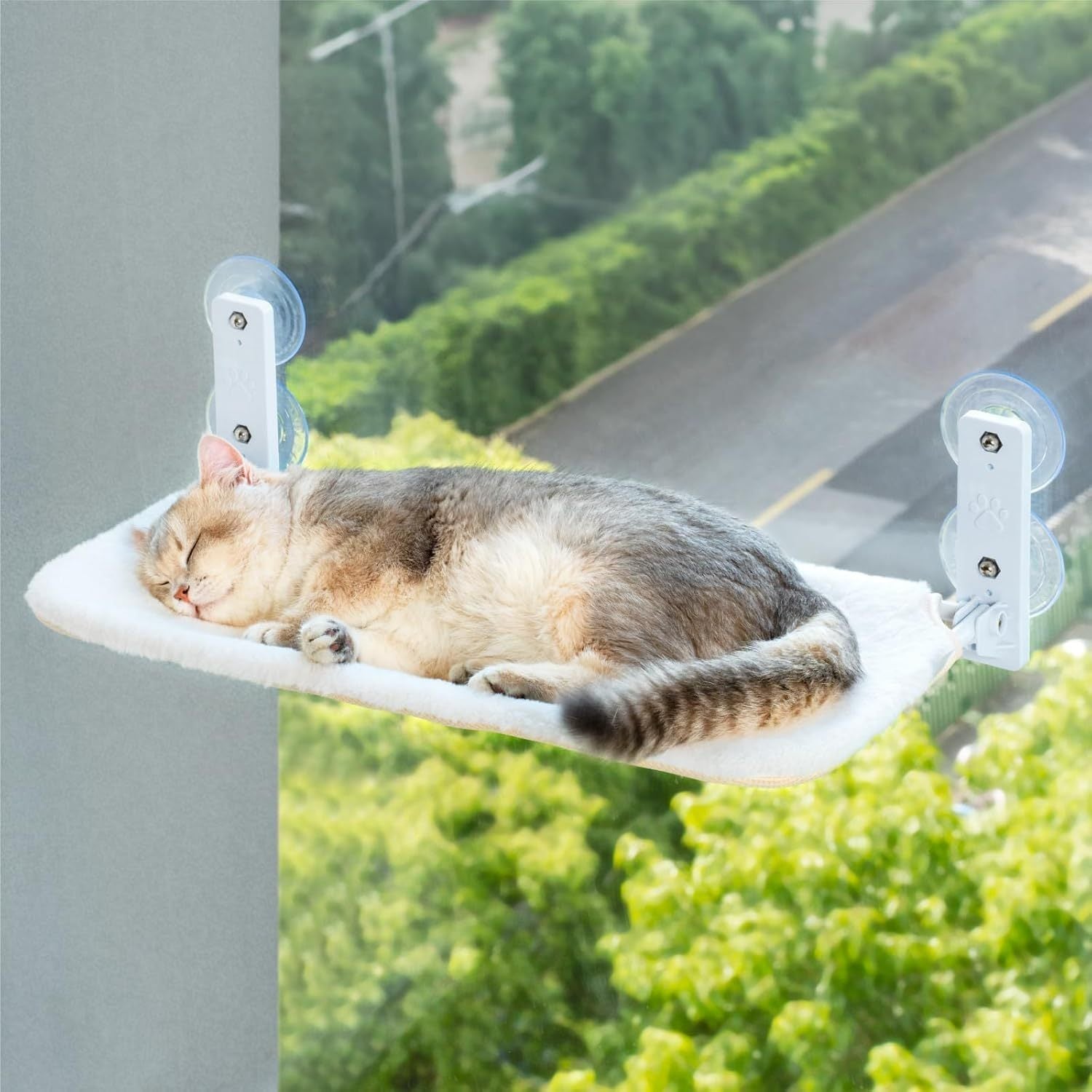 Sturdy Cat Window Lounge for Naps and Views