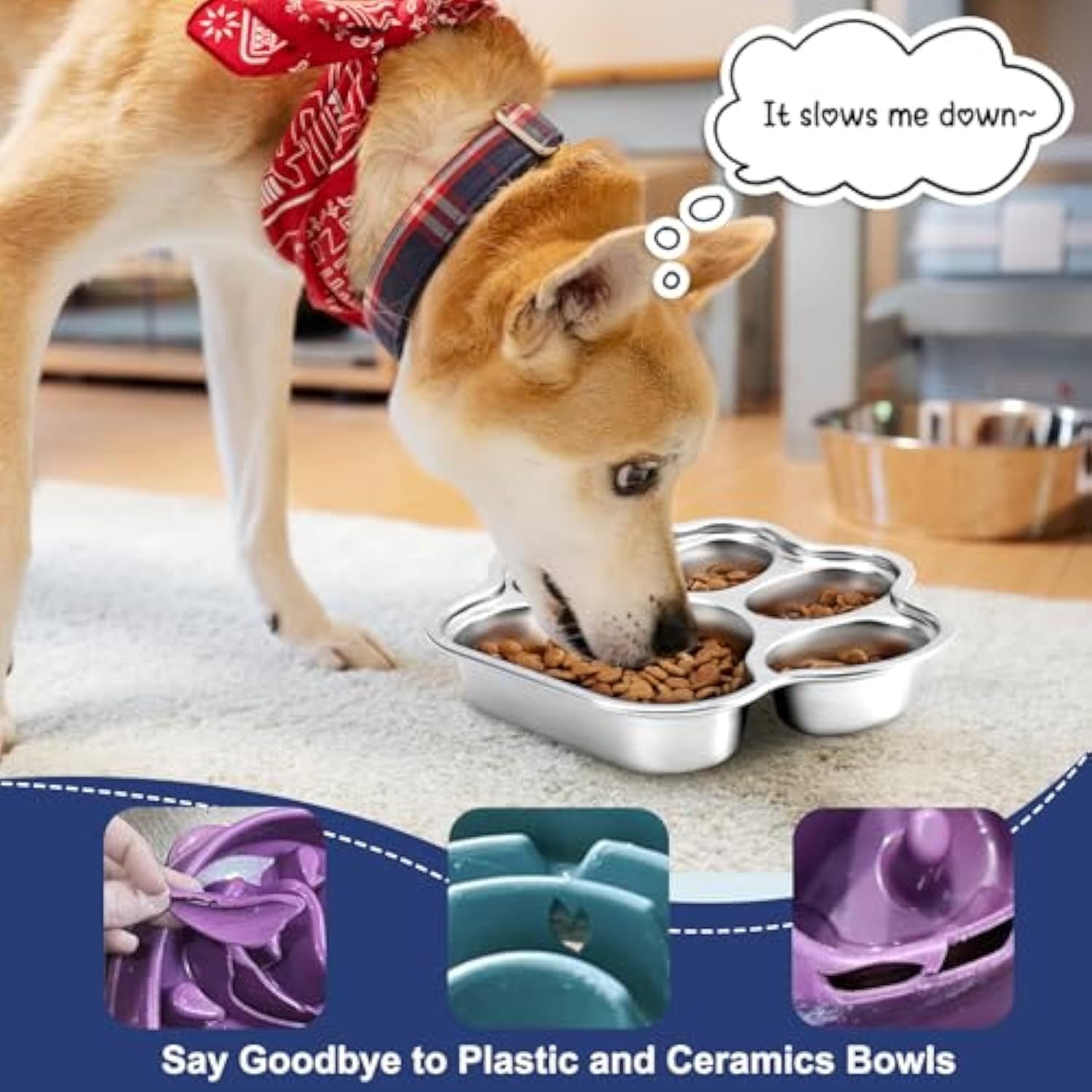 Slow Feeder Bowl for Happier, Healthier Mealtimes