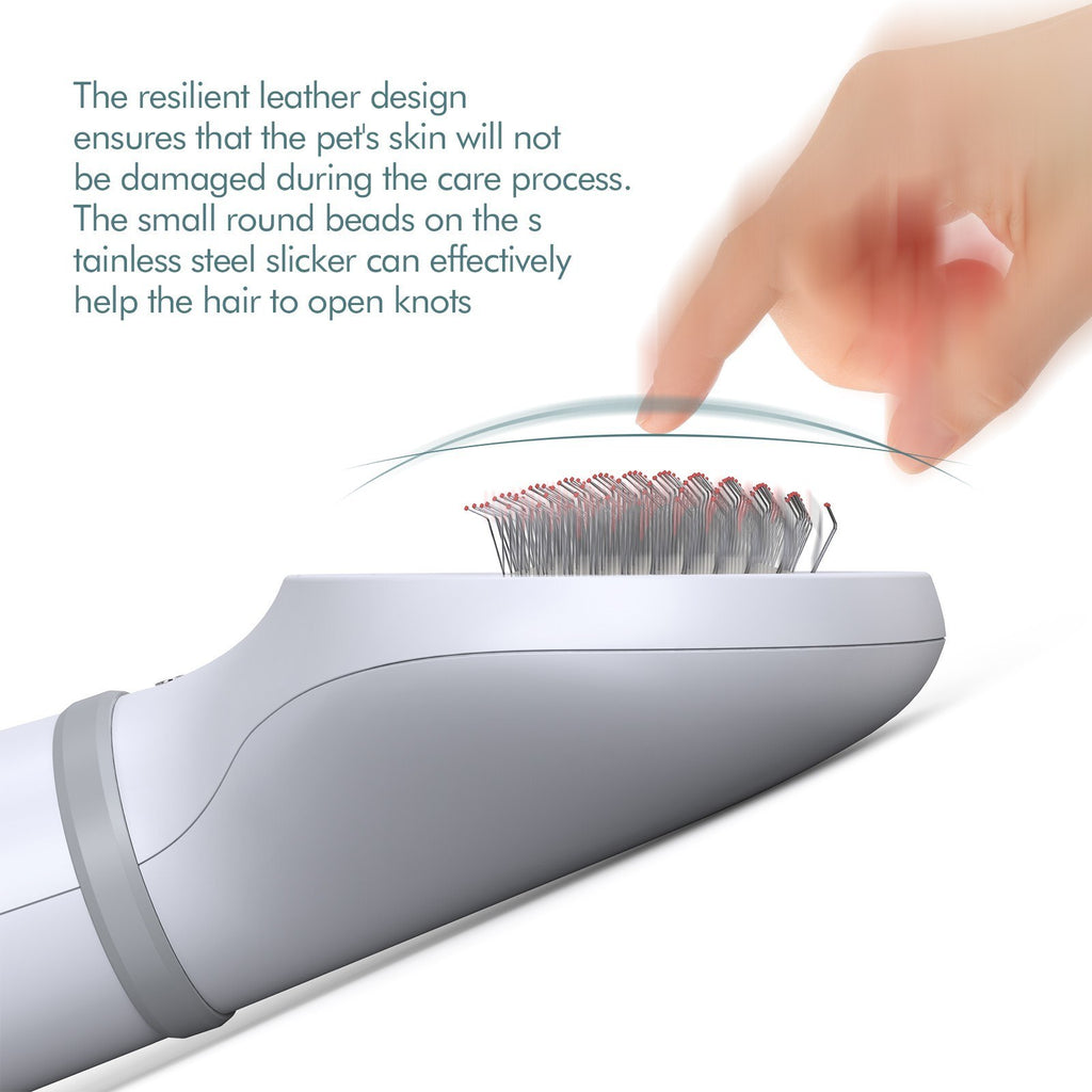 2-in-1 Pet Dryer and Brush for Fluffy Coats