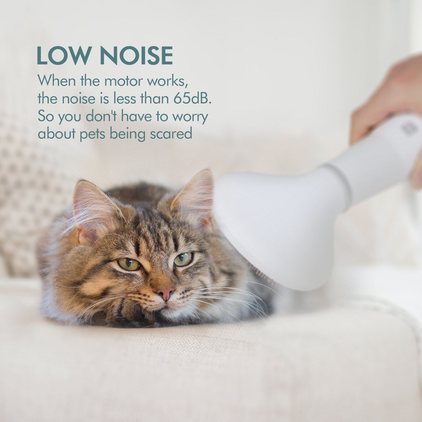 2-in-1 Pet Dryer and Brush for Fluffy Coats