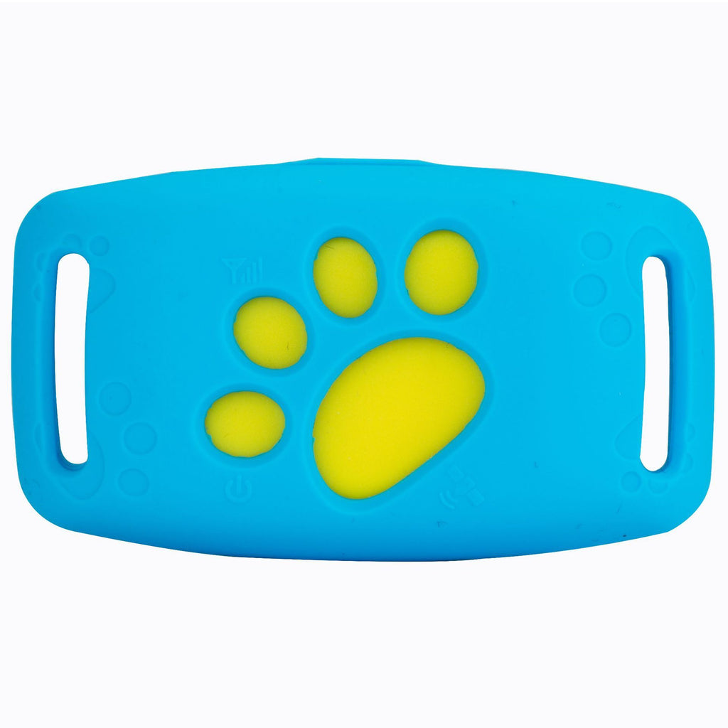 Track Your Pet Anytime with This Waterproof GPS Collar