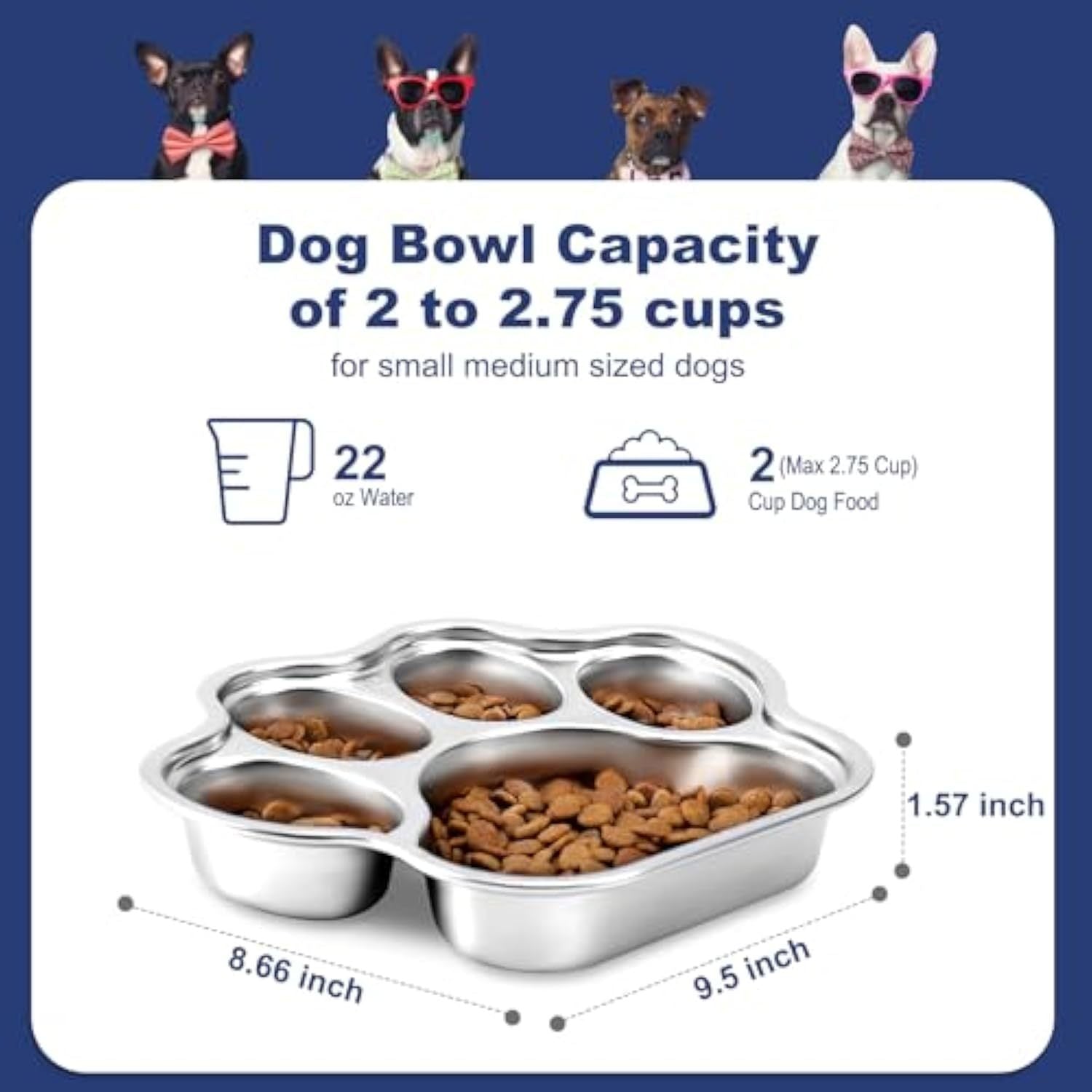 Slow Feeder Bowl for Happier, Healthier Mealtimes