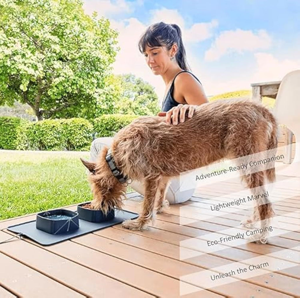 Feed and Hydrate Anywhere with These Foldable Pet Bowls