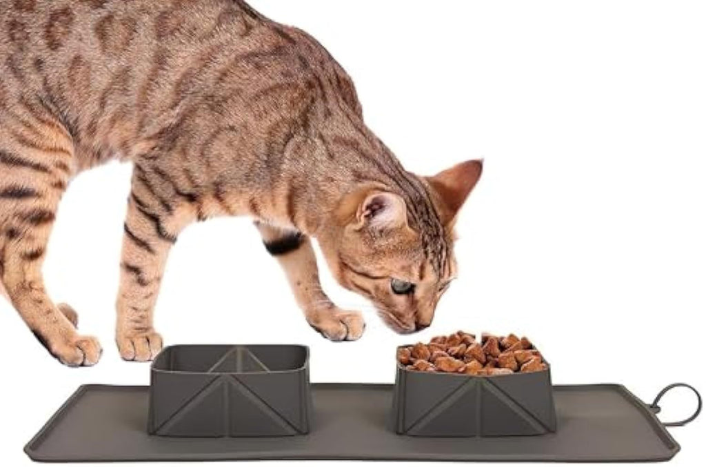 Feed and Hydrate Anywhere with These Foldable Pet Bowls