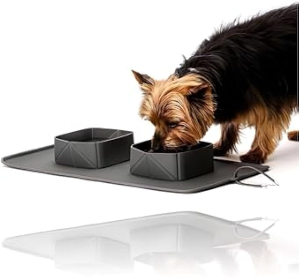 Feed and Hydrate Anywhere with These Foldable Pet Bowls